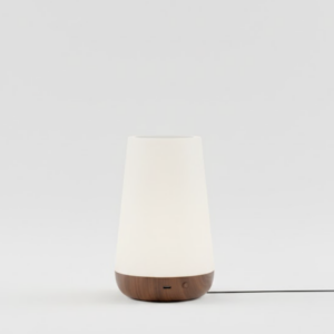 Color Changing Night Light